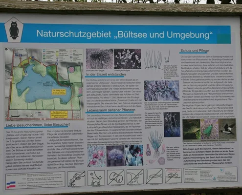 Besuch beim Galloway Zuchtbetrieb Bunde Wischen in Kosel