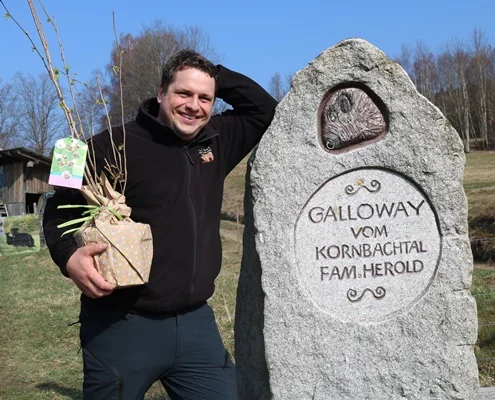 Besuch im Galloway Zuchtbetrieb Familie Herold in Gefrees