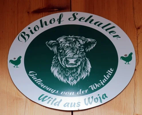 Besuch im Galloway Zuchtbetrieb Heiko Schaller in Rehau